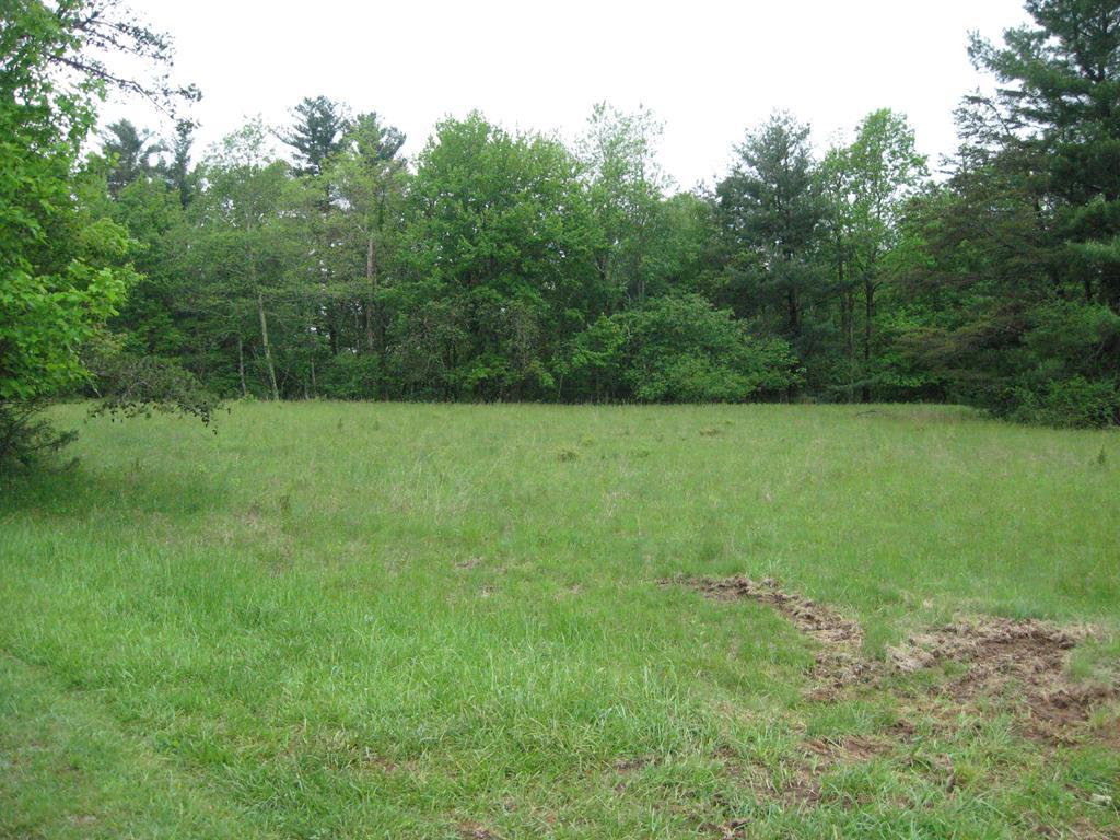 TBD Overlook Lane - Photo 1