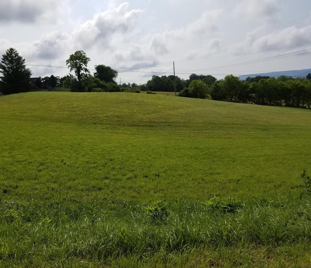 tbd Chestnut Ridge Road - Photo 1