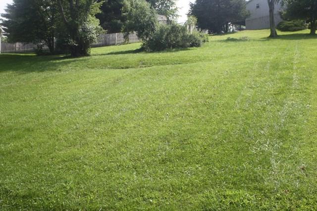 TBD Lot 13 Lakeshore Drive - Photo 1