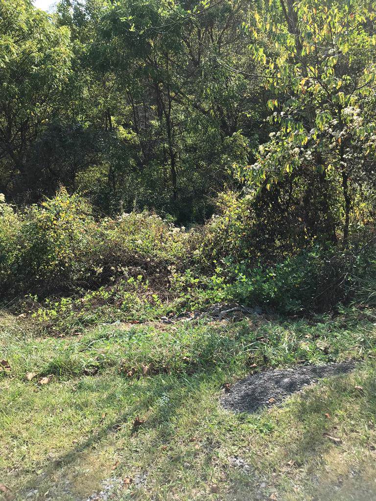 TBD Chestnutwood Drive - Photo 1