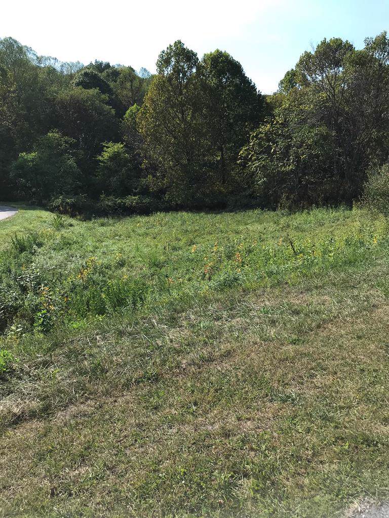 TBD Chestnutwood Drive - Photo 1