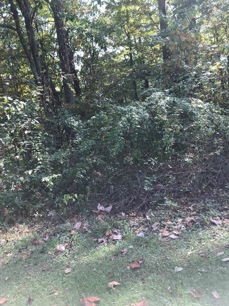 TBD Chestnutwood Drive - Photo 1