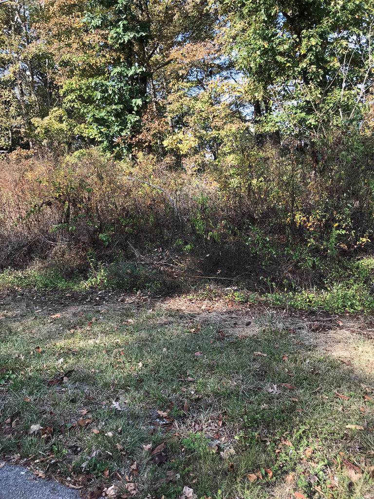 TBD Chestnutwood Drive - Photo 1