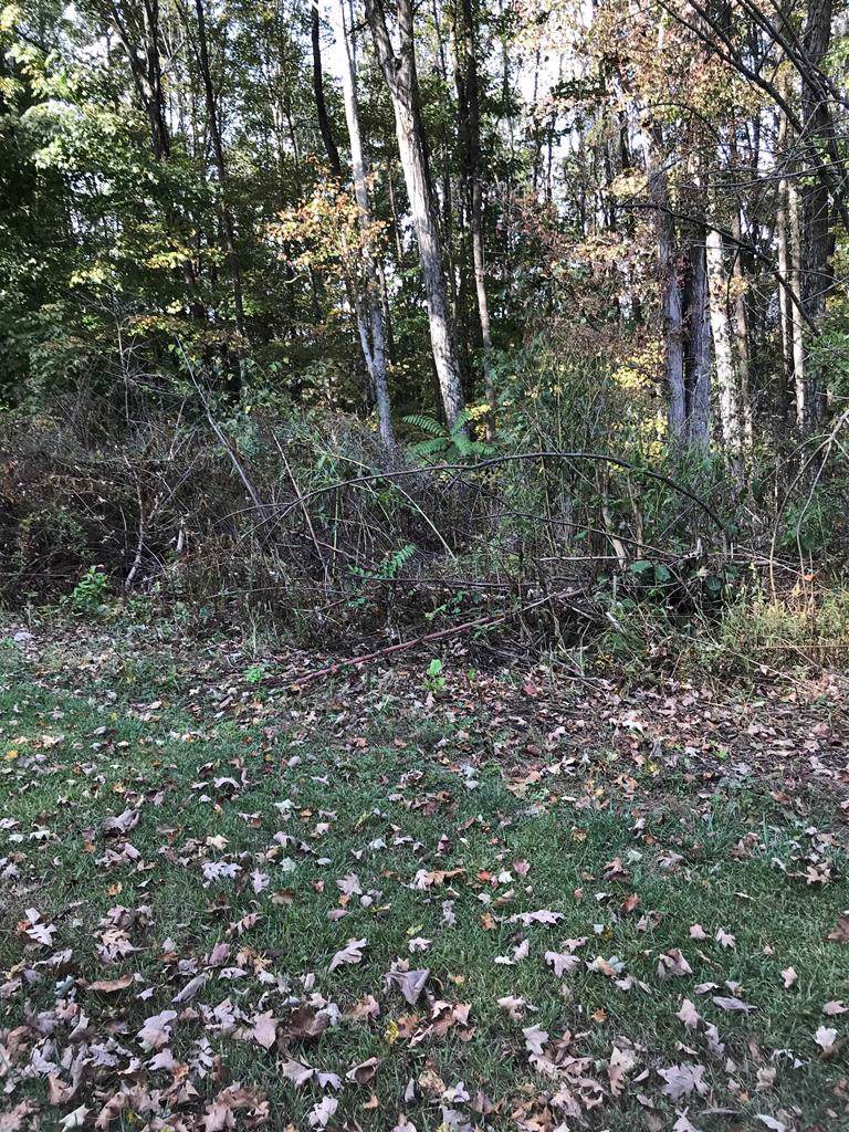 TBD Chestnutwood Drive - Photo 1