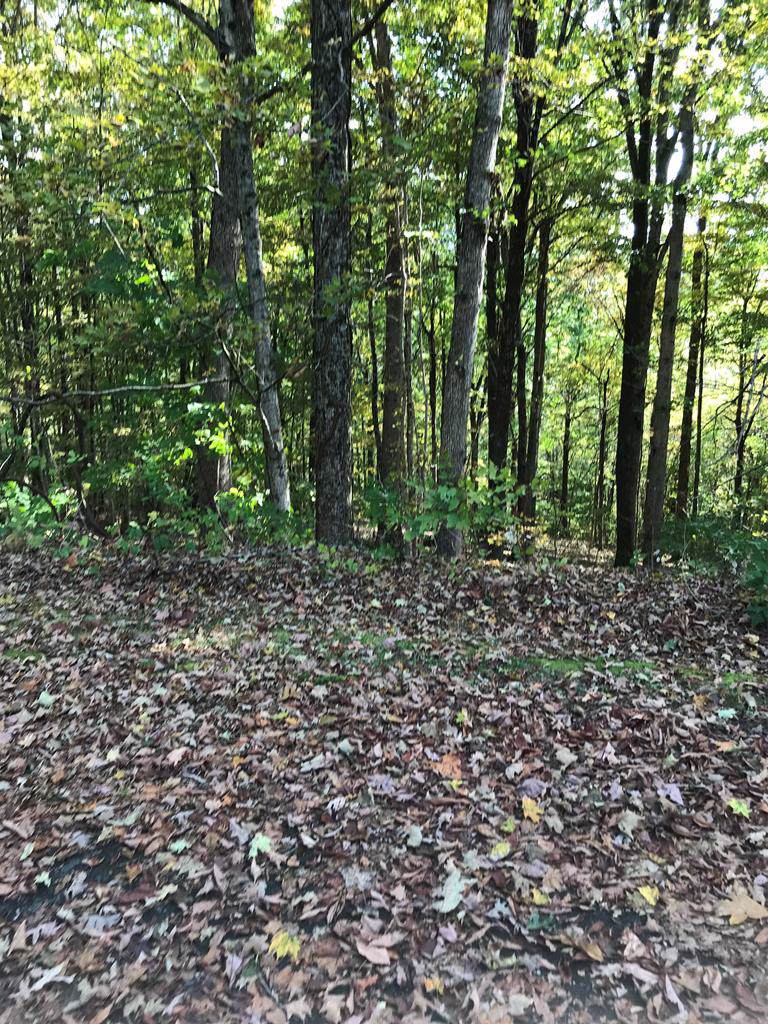 TBD Chestnutwood Drive - Photo 1