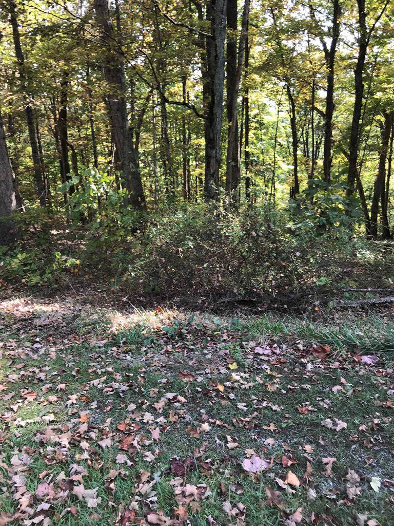 TBD Chestnutwood Drive - Photo 1