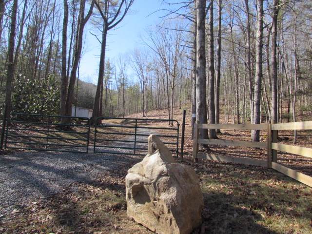 TBD Mule Hell Rd - Photo 1
