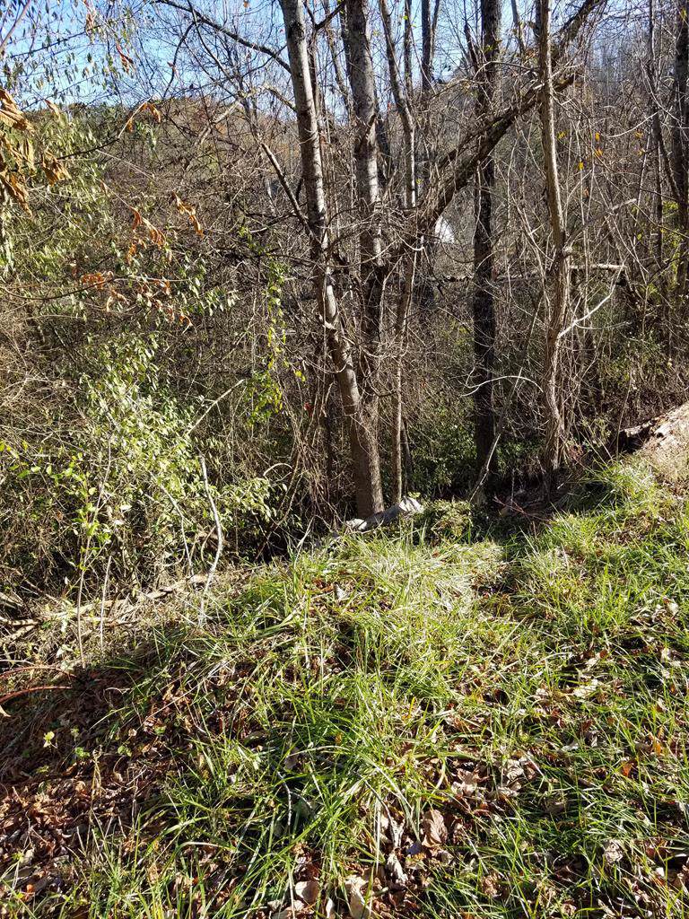 1470 Stone Coal - Photo 1