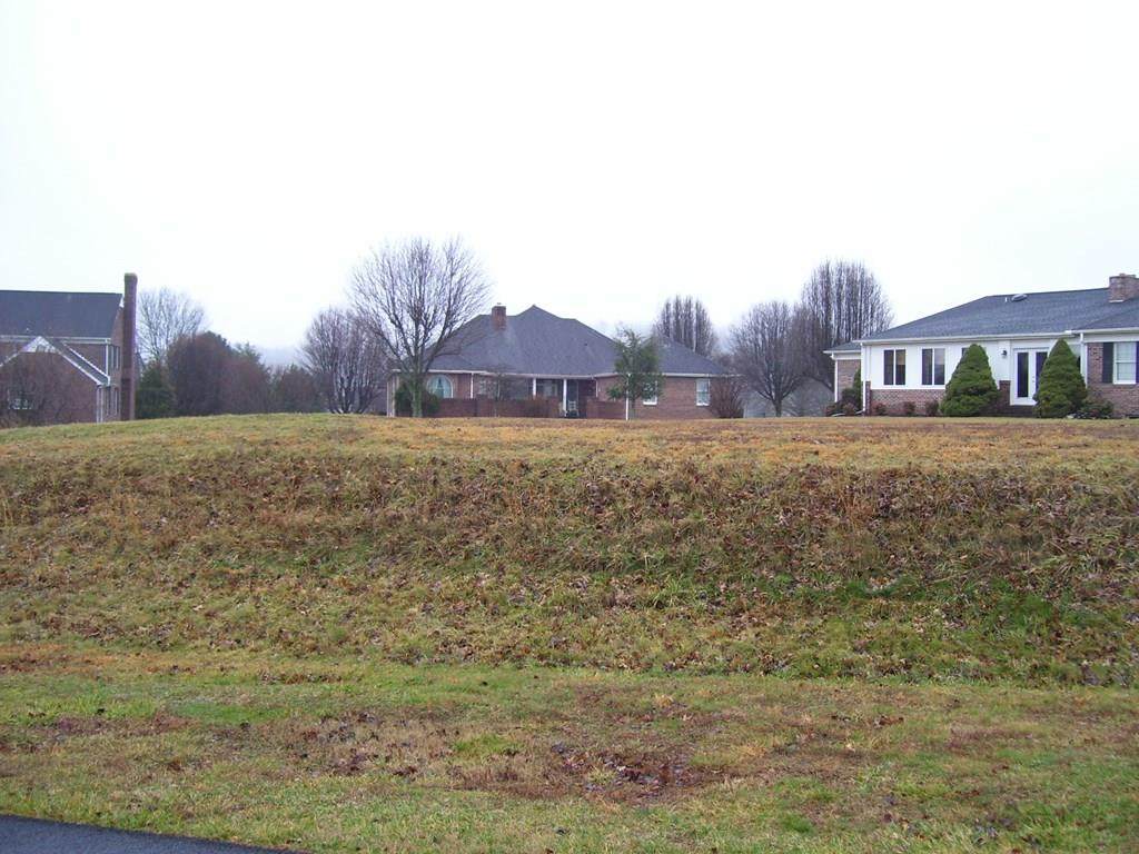 TBD Pinehurst Court - Photo 1