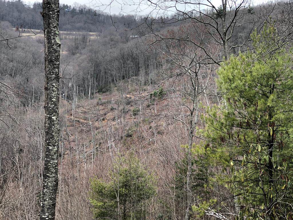 TBD Paul's Creek Rd - Photo 1