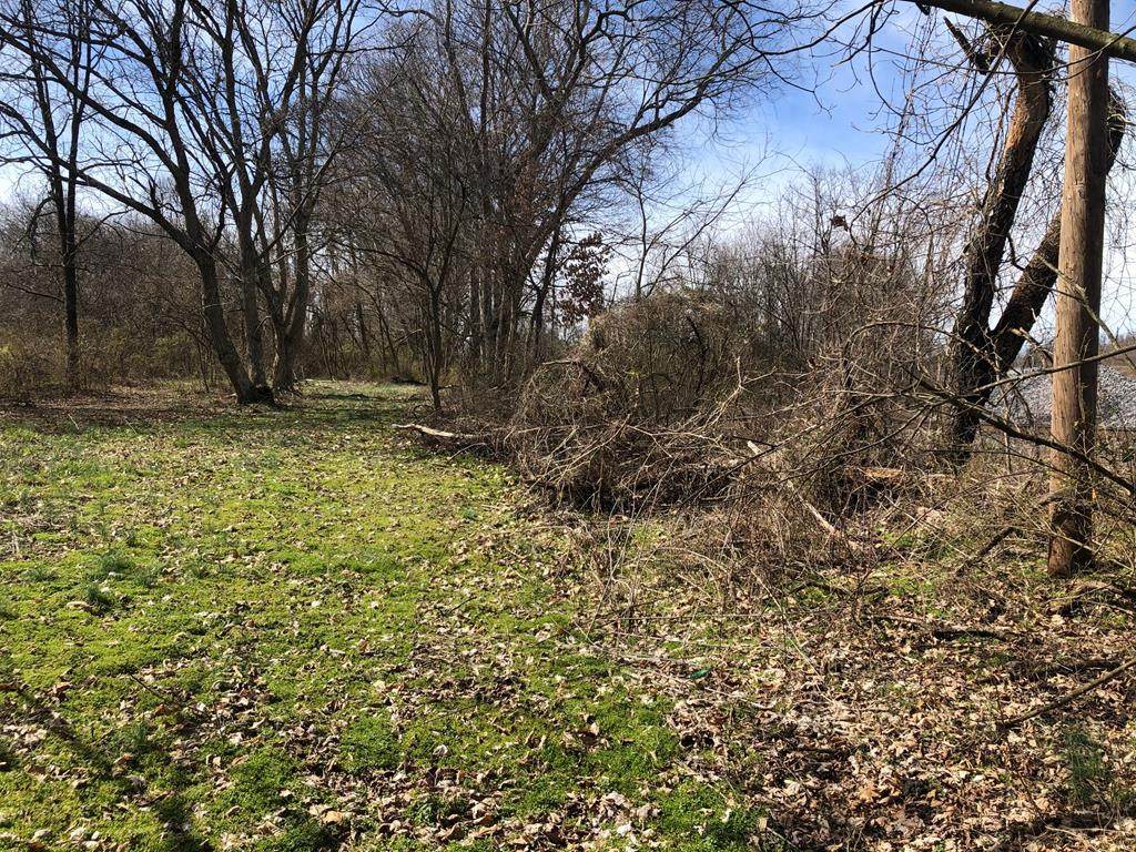 TBD Old Reedy Creek Road - Photo 1