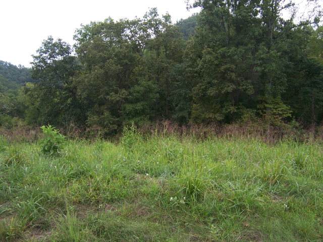 0 Lake Pointe Drive, Lot 7 - Photo 1