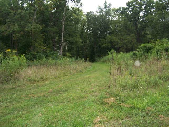 0 Lake Pointe Drive, Lot 8 - Photo 1