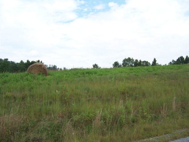 0 Lake Bend Court, Lot 30 - Photo 1