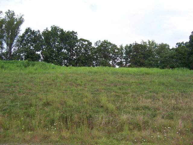 0 Lake Pointe Drive, Lot 36 - Photo 1