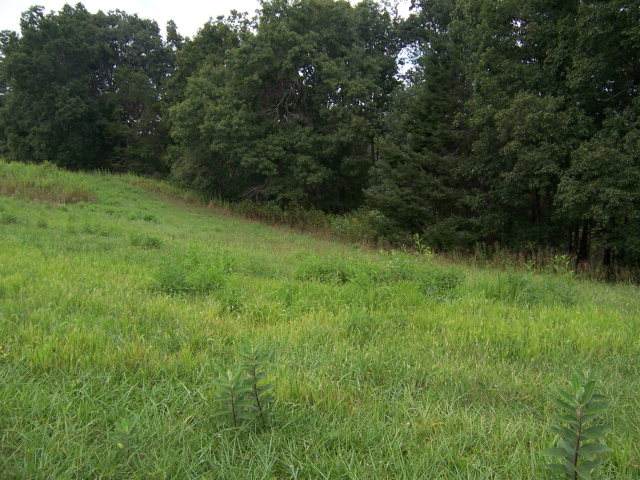 0 Lake Pointe Drive, Lot 39 - Photo 1