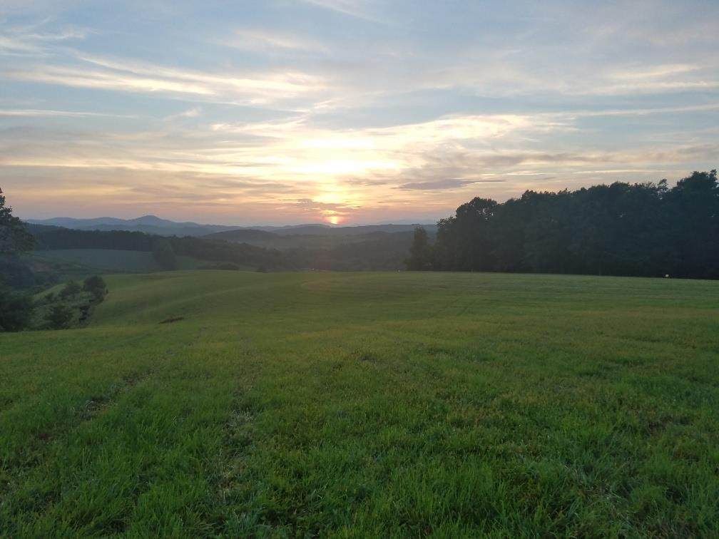 TBD Crest Ridge Ln - Photo 1