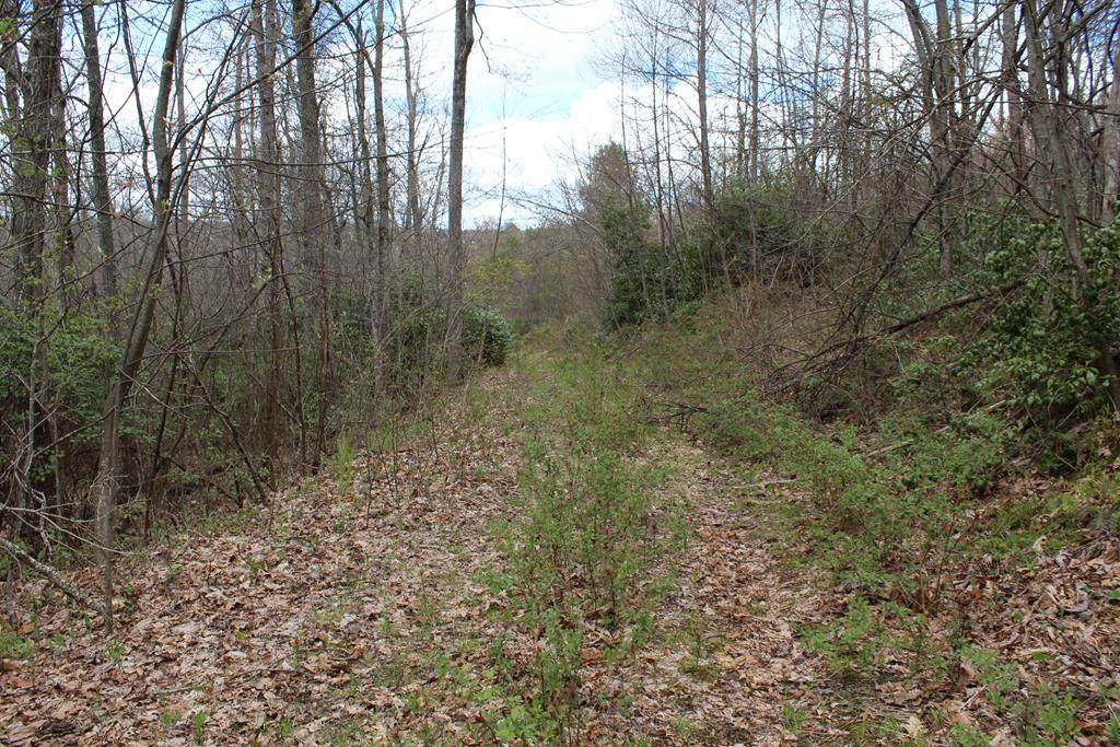 0 Jeb Stuart Highway - Photo 1