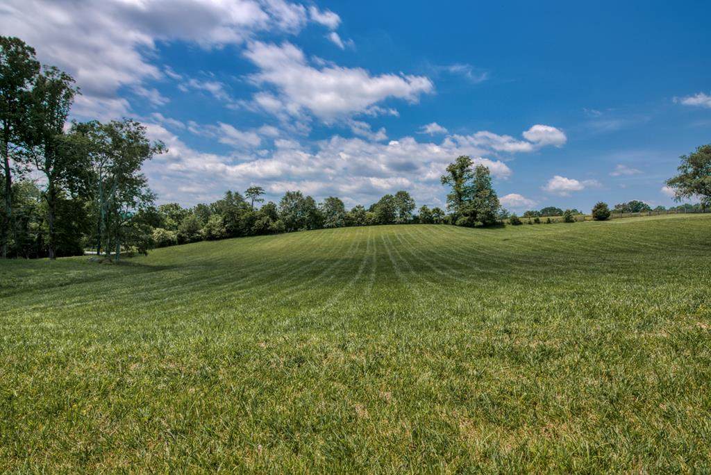 Lot #14 Skyward Drive - Photo 1