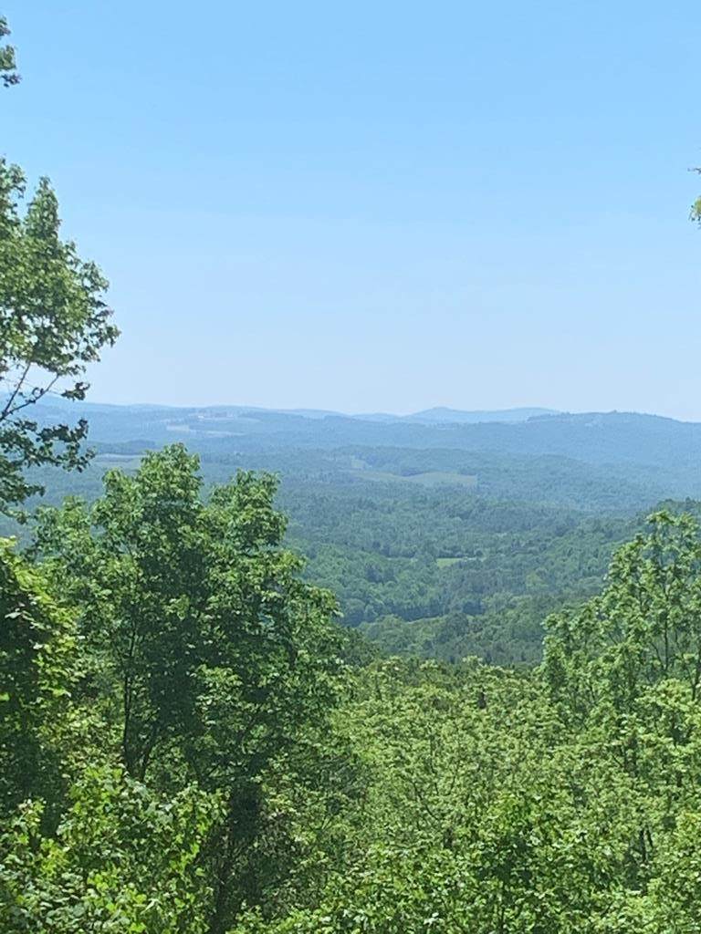 110 Point Lookout Ln. - Photo 1