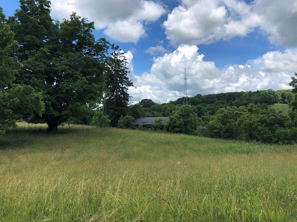 TBD Hillman Highway - Photo 1