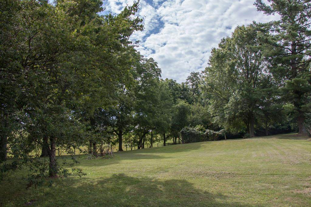 562 Humes Street - Photo 1