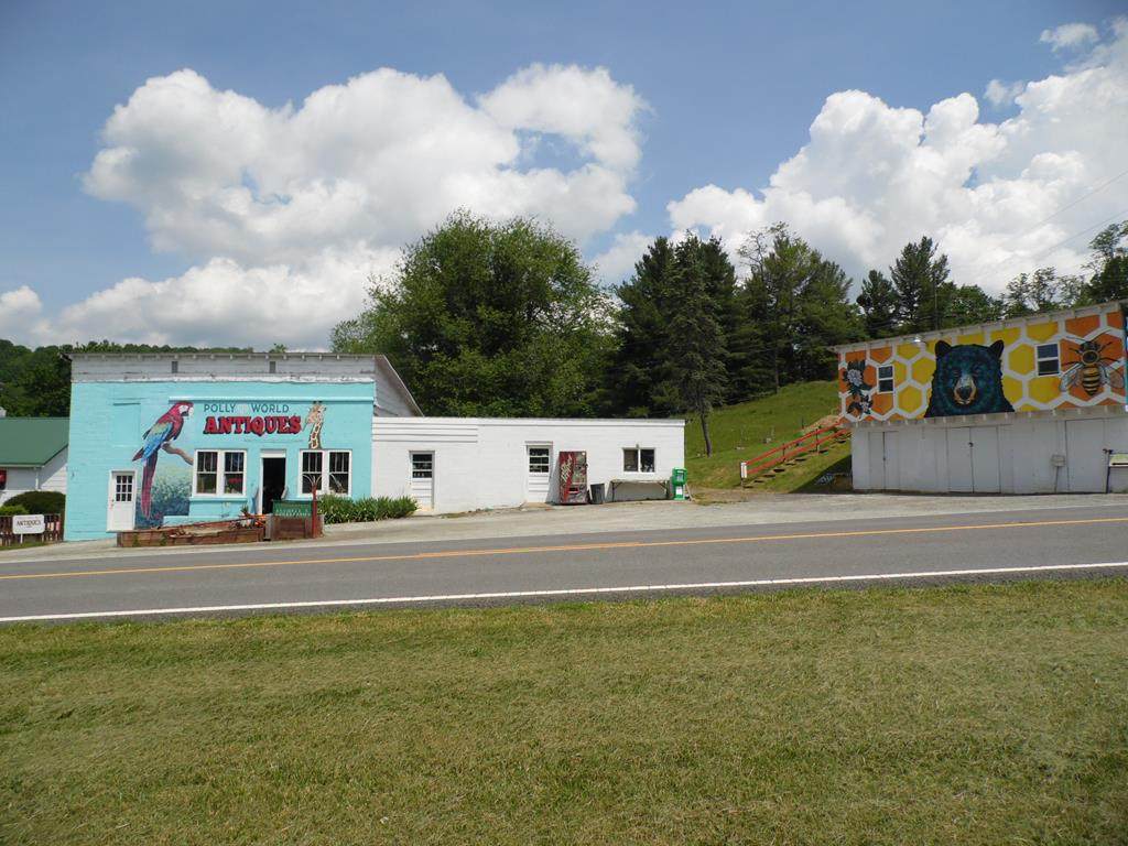 6976 Wilson Hwy - Photo 1