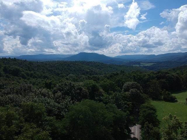 TBD Big Stony Creek Rd - Photo 1