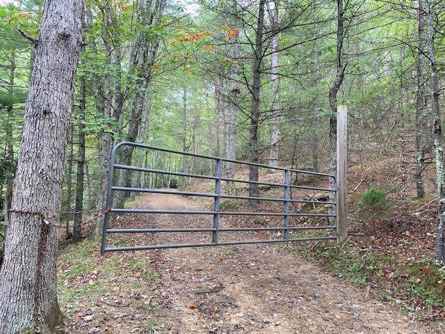 302 ac Little Creek Hwy - Photo 1
