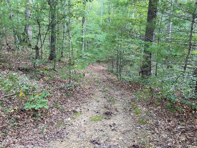 61.13 ac Indian Meadow - Photo 1