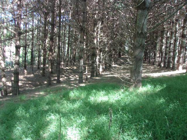 TBD Independence - Photo 1