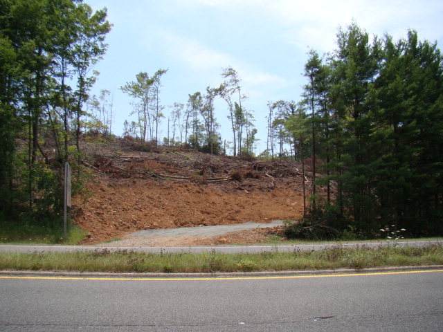 TBD Chances Creek Rd - Photo 1