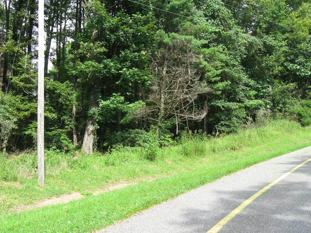 TBD Hidden Wood Trail - Photo 1