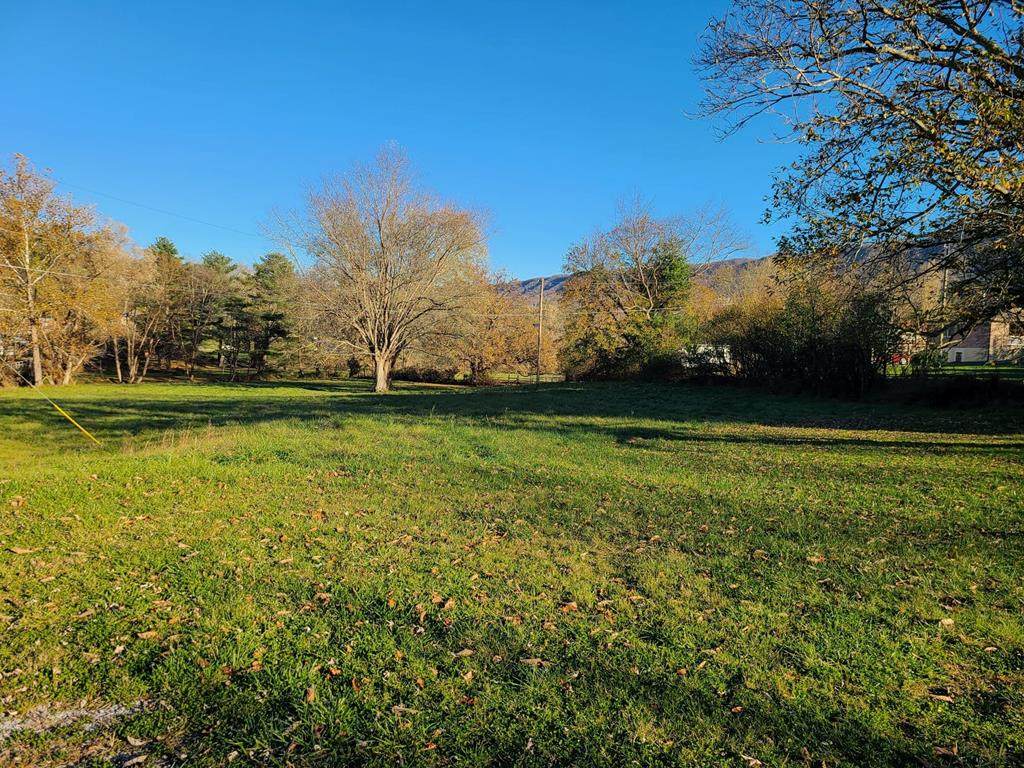 TBD Fincastle Turnpike - Photo 1
