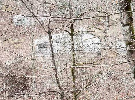 468 Ginseng Hollow - Photo 1