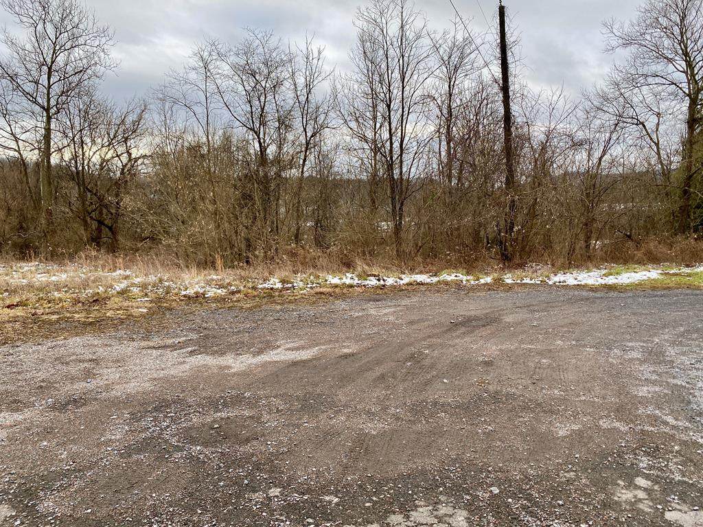 TBD U S Hwy 460 Gov G C Peery Lots 1-4, 27 - Photo 1