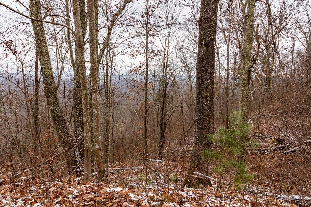 23.53 AC North Fork River Rd - Photo 1