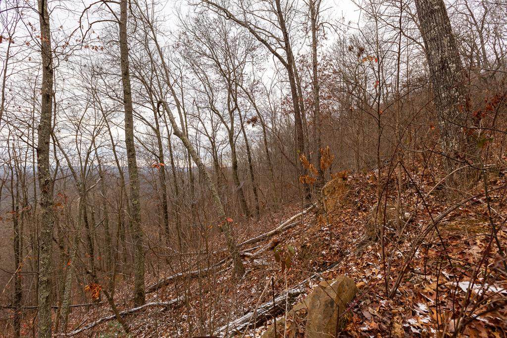 18.72 AC North Fork River Rd - Photo 1