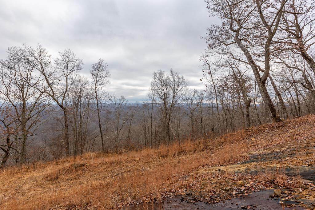 7 AC North Fork River Rd - Photo 1