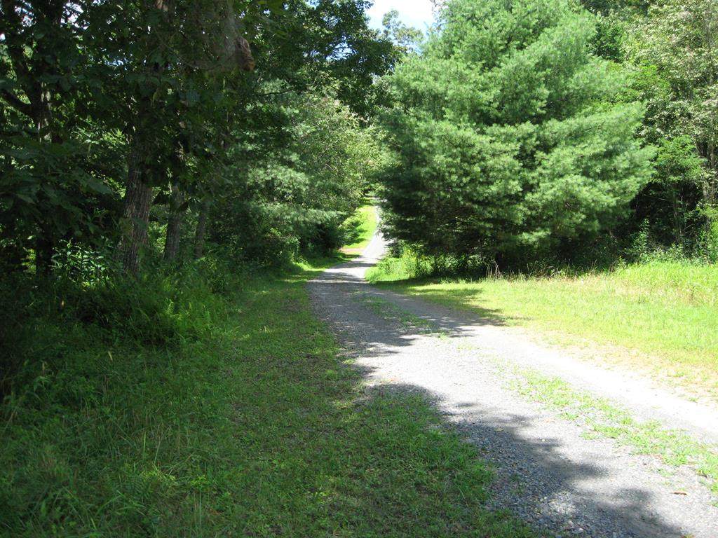 TBD Fox Den Lane - Photo 1