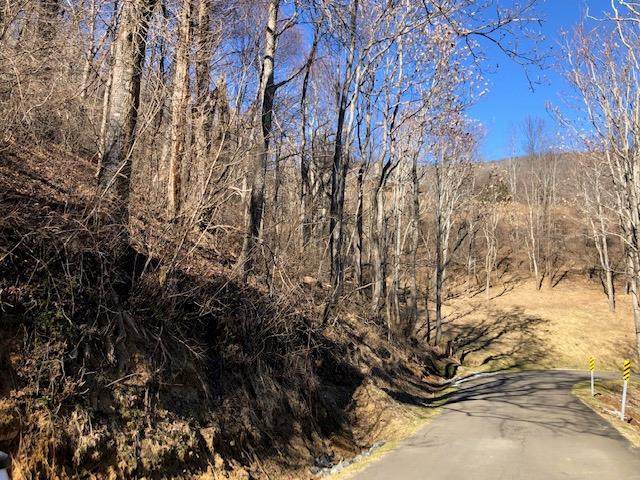 TBD Point Lookout - Photo 1