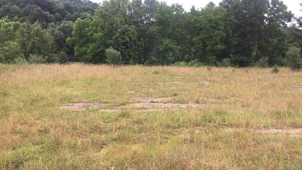 TBD Gary Drive - Photo 1