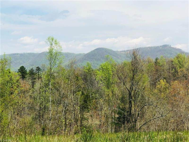 1005 Skyview - Photo 1