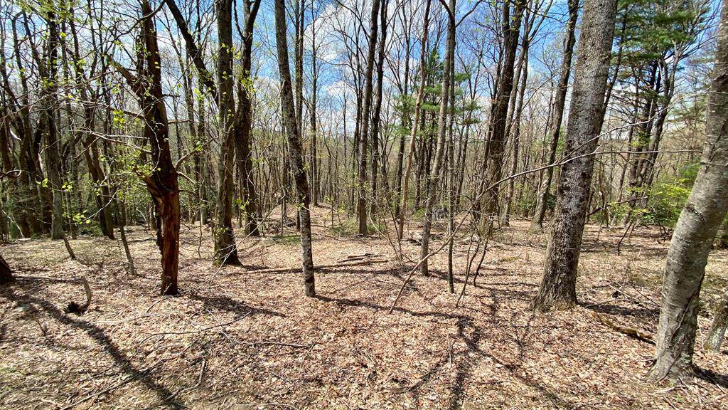 Lot 6A Cascade Trail - Photo 1