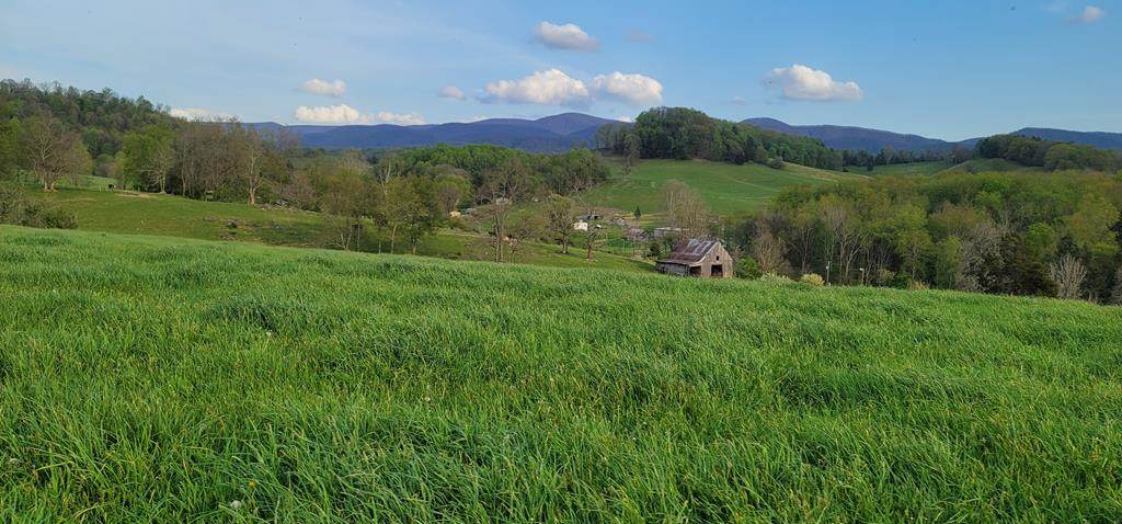 TBD Red Stone Road - Photo 1