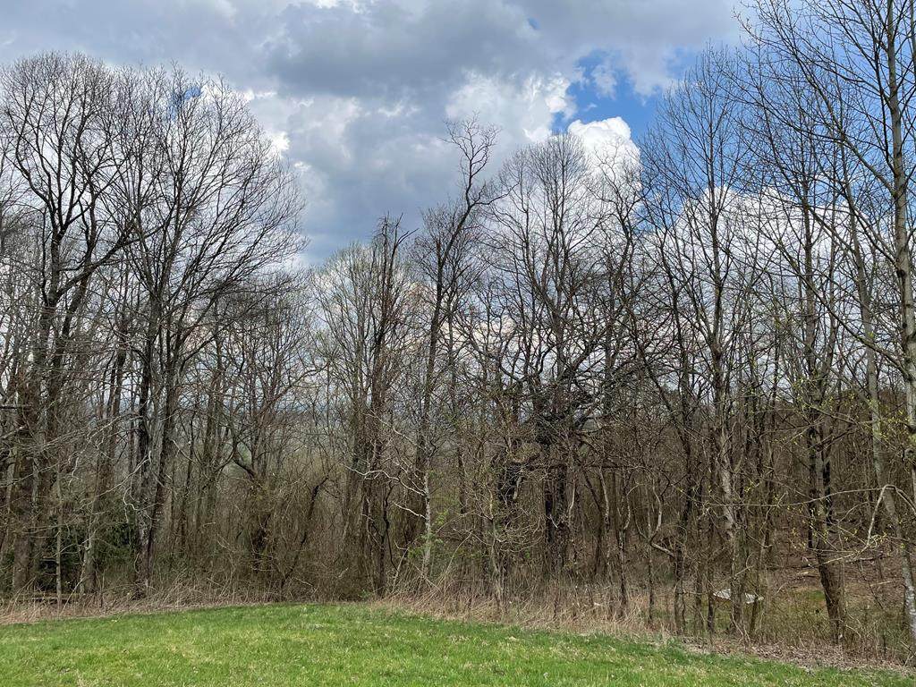 TBD Retreat Rd.-Lot 1008 - Photo 1