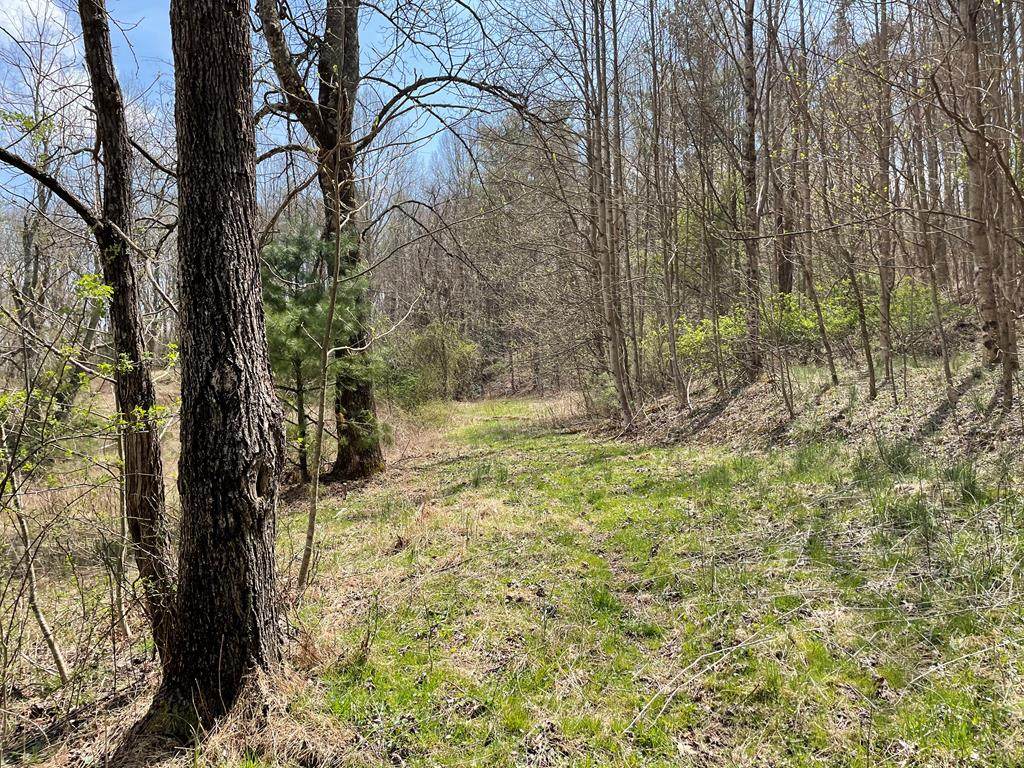 TBD Retreat Rd.- Lot 1008A - Photo 1