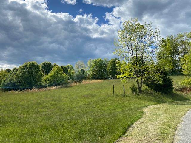 .89 ac Wytheview Drive - Photo 1