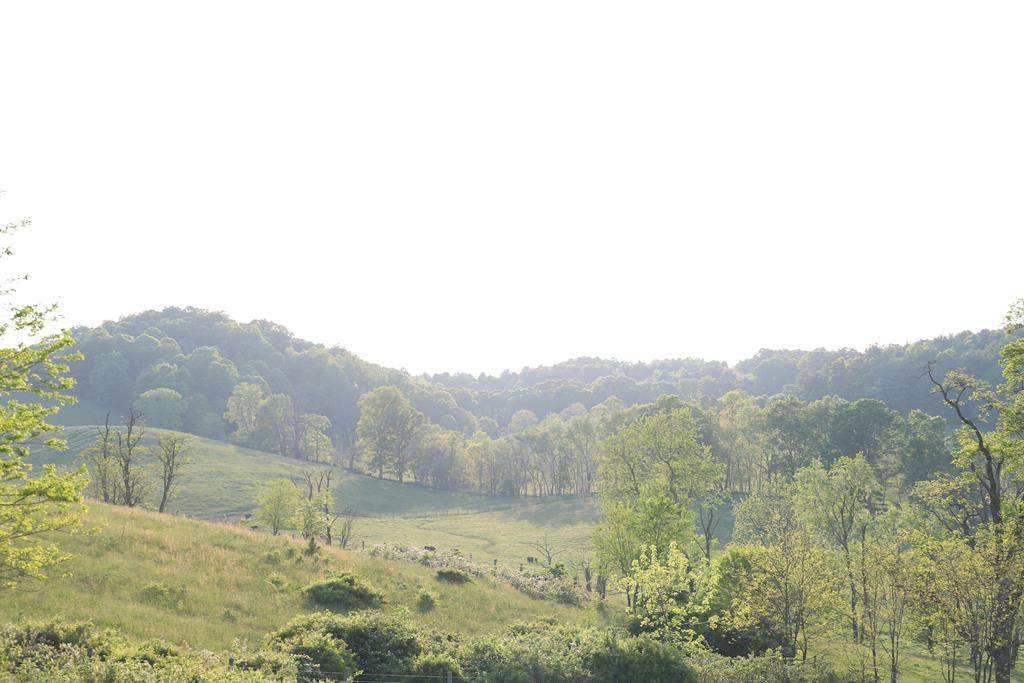 20.57 ac Grayson Turnpike - Photo 1