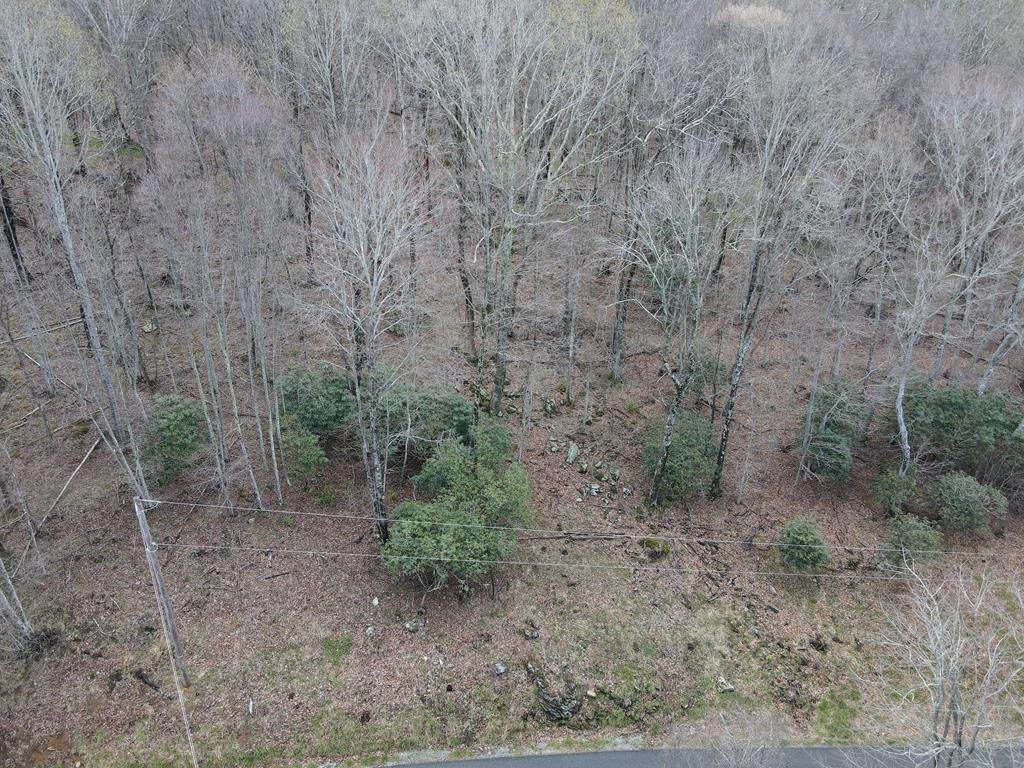TBD Hidden Valley Lane - Photo 1